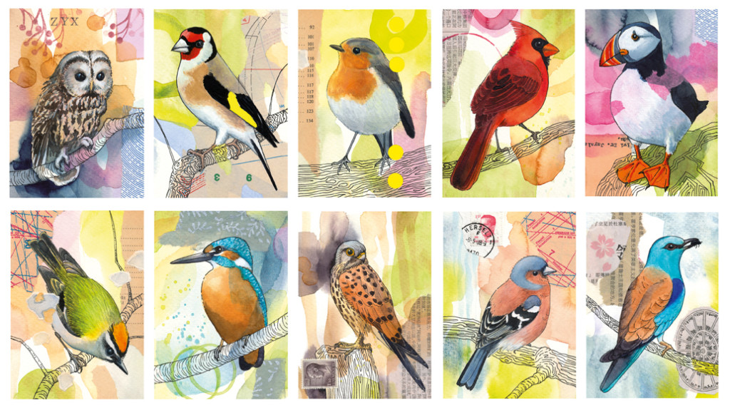 Postkartenserie, 10 von 24 Vogelmotiven